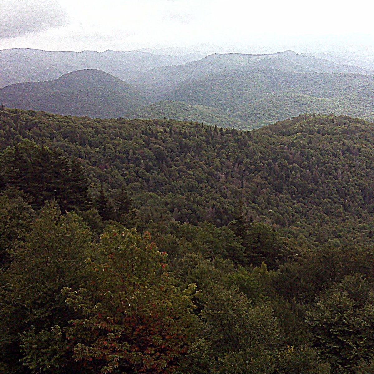 pisgah Forest mountains